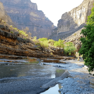 Camping Tour 7 Days package