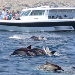 Encounter Musandam (Dibba Special Day Trip) /Full Day Mountain & Sea Safari Combo (Wadi Bih Mountains & Musandam Sea Full Day Safari)