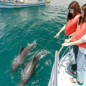 Fishing by Speed Boat / Dhow